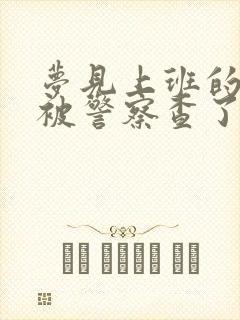 梦见上班的地方被警察查了