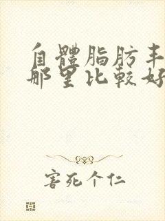 自体脂肪丰胸去那里比较好