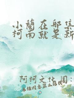 小兰在哪集认出柯南就是新一