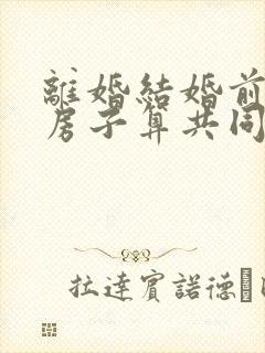 离婚结婚前买的房子算共同财产吗