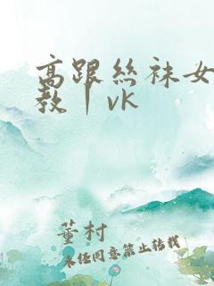 高跟丝袜女王调教丨vk