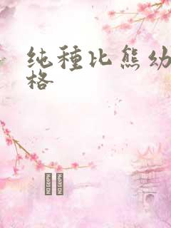 纯种比熊幼狗价格