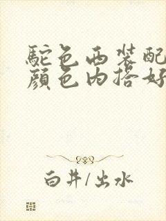 驼色西装配什么颜色内搭好看