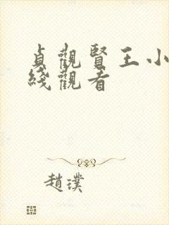 贞观贤王小说在线观看