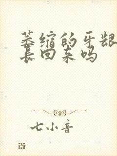 萎缩的牙龈还能长回来吗