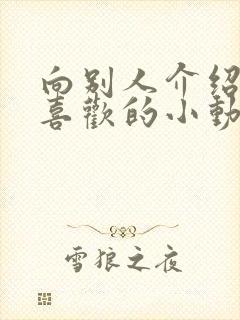 向别人介绍你最喜欢的小动物