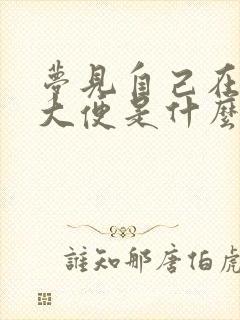 梦见自己在屋里大便是什么意思