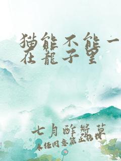 猫能不能一直关在笼子里