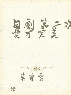 日剧 第二次恋爱才完美