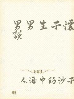 男男生子怀孕小说