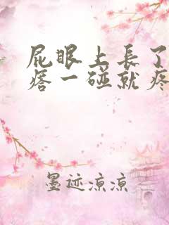 屁眼上长了个疙瘩一碰就疼