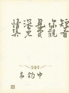 情深见你短剧全集免费观看