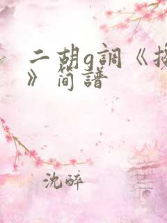 二胡g调《搀扶》简谱