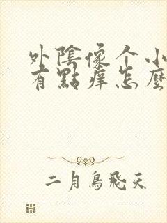 外阴像个小疙瘩有点痒怎么止痒