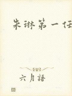 朱琳第一任丈夫