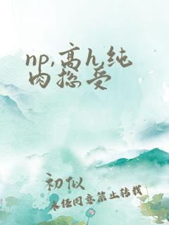 np,高h,纯肉总受