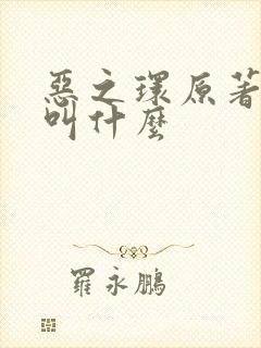 恶之环原著小说叫什么