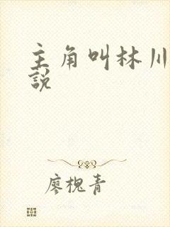 主角叫林川的小说