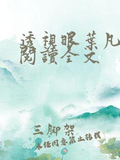 透视眼叶凡免费阅读全文