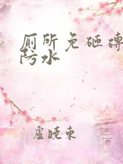 厕所免砸砖注浆防水