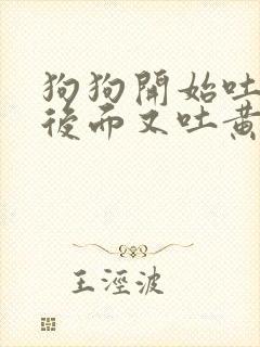 狗狗开始吐白沫后面又吐黄水咋办