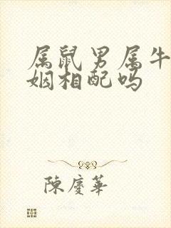 属鼠男属牛女婚姻相配吗