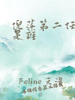 倪萍第二任丈夫是谁