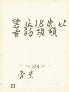 禁止18岁以下看的视频