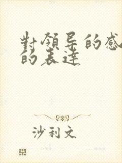 对领导的感谢语的表达