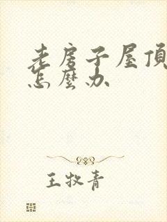 老房子屋顶漏水怎么办