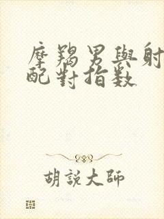 摩羯男与射手女配对指数