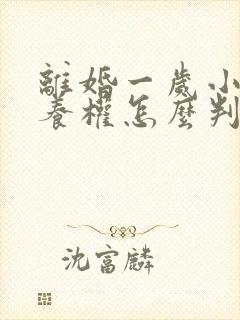 离婚一岁小孩抚养权怎么判