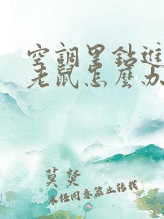 空调里钻进去了老鼠怎么办