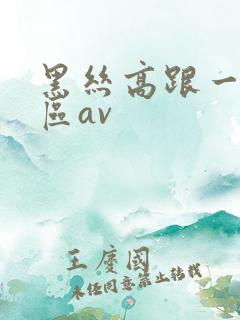 黑丝高跟一区二区av