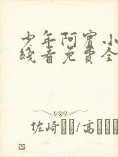 少年阿宾小说在线看免费全文无弹窗