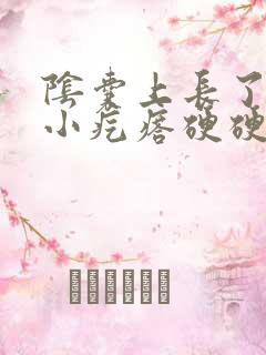 阴囊上长了一个小疙瘩硬硬的