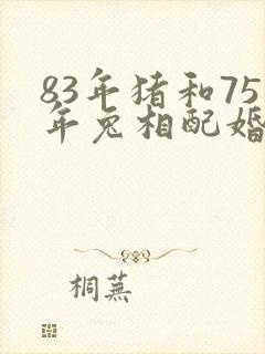 83年猪和75年兔相配婚姻如何