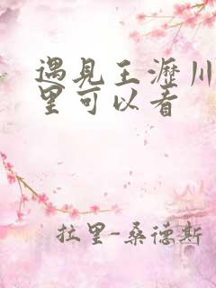 遇见王沥川在哪里可以看