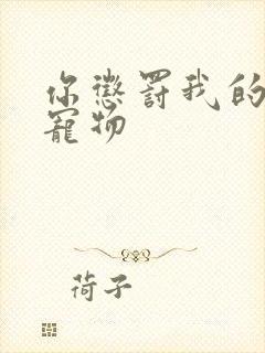 你惩罚我的专属宠物