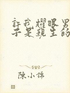 许我耀眼男主儿子是亲生的吗