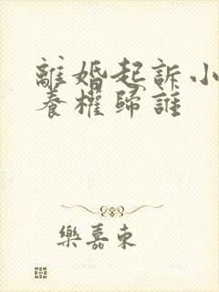 离婚起诉小孩抚养权归谁