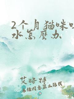 2个月猫咪吐黄水怎么办