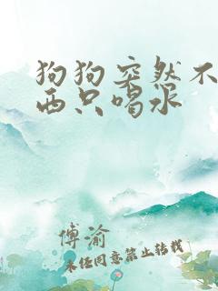 狗狗突然不吃东西只喝水