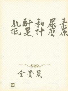 肌酐和尿素氮偏低是什么原因