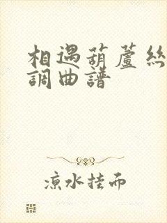 相遇葫芦丝降b调曲谱