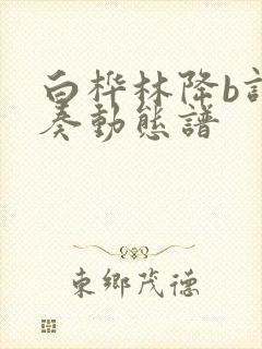 白桦林降b调伴奏动态谱