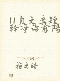 11月文案短句干净治愈阳光