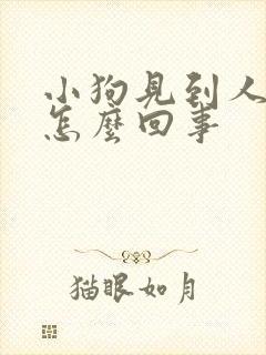 小狗见到人就尿怎么回事