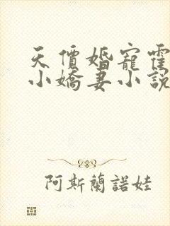 天价婚宠霍总的小娇妻小说全文免费阅读