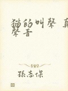 猫的叫声 真实声音